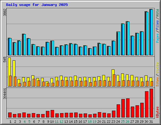 Daily usage for January 2025