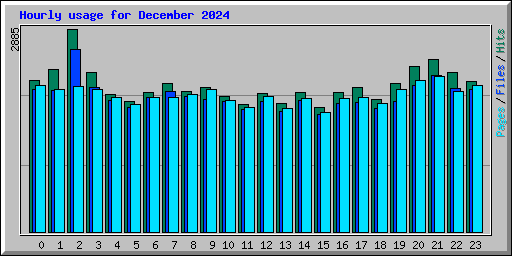 Hourly usage for December 2024