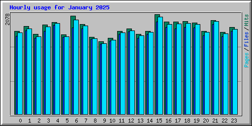 Hourly usage for January 2025