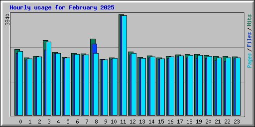 Hourly usage for February 2025