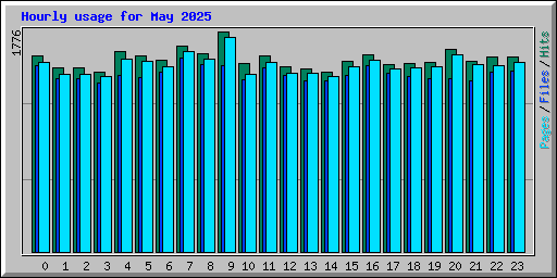 Hourly usage for May 2025