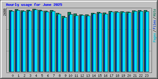 Hourly usage for June 2025