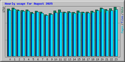 Hourly usage for August 2025