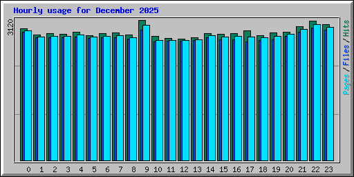 Hourly usage for December 2025