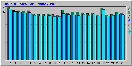 Hourly usage for January 2026